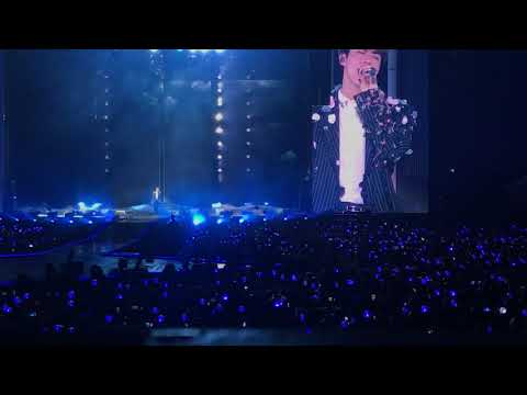 181013 Epiphany - JIN | BTS (방탄소년단) | Love Yourself Tour in Amsterdam (live) Fancam