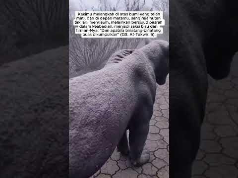 KETIKA BUMI MENJADI SAKSI BISU DARI 'AL-WAQI'AH' (HARI KIYAMAT) YANG TAK TERBANTAHKAN #short