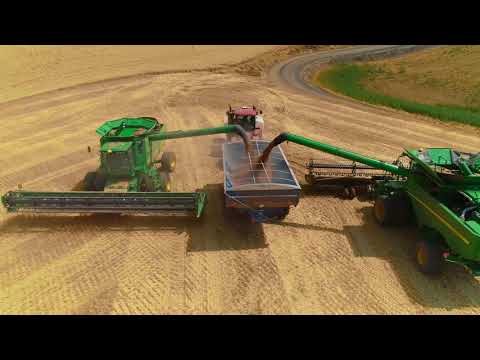 Palouse Wheat Harvest
