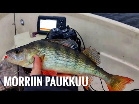 Venepilkillä | Kaikuluotain apuna | Garmin striker 5