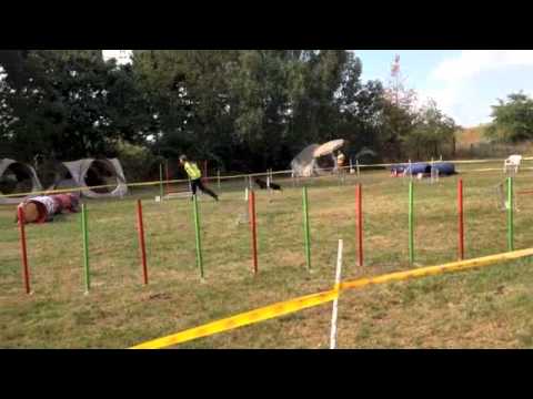 Le Schnegg Sauvage - avec Sascha