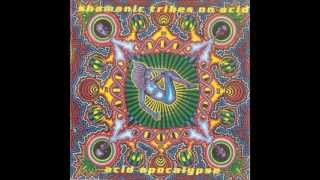 Shamanic Tribes On Acid - Extraterrestrial Lover