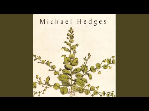 Ritual Dance - Michael Hedges
