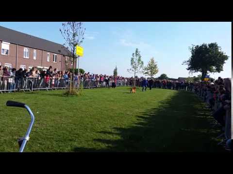 Demonstratie Ell PHV Kessel-eik oktober 2015 Elgos od Moslavine eigenaar Hen Peeters