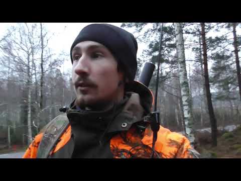 Klövviltsjakt och Jim skjuter skovel