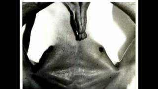 Wire - Up to the Sun (A Vivid Riot of Red)