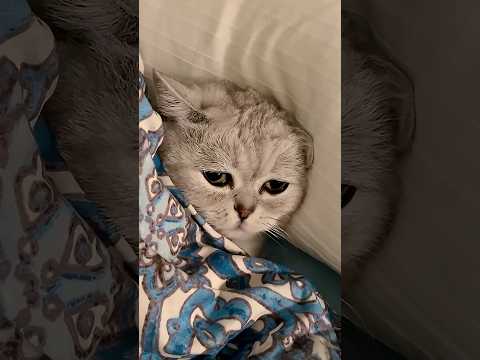 Comfort in a quiet corner