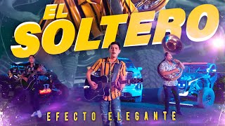 El Soltero Lyrics English Translation