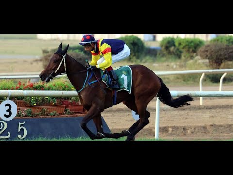 FYNBOS wins The Forbes Breeders' Juvenile Fillies' Championship (Gr.3)