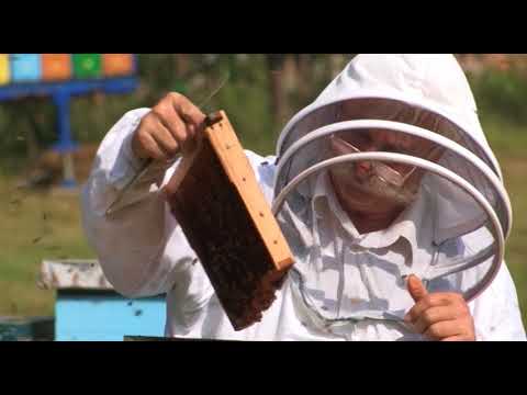 Boja meda ep. 17 03.07.2018. NAJAVA