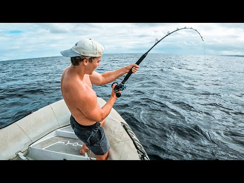 Food Chain Fishing Challenge - Tuna to Monster Shark