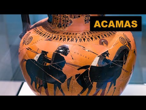 Acamas - a son of Theseus and a named Achaean hero during the Trojan War!