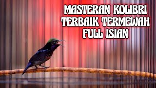 Download lagu MASTERAN KOLIBRI NINJA TERBAIK FULL ISIAN DAN TEMBAKAN MEWAH COCOK BUAT PANCINGAN mp3