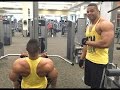 Back Biceps Workout To Gain Muscle Mass Hodgetwins