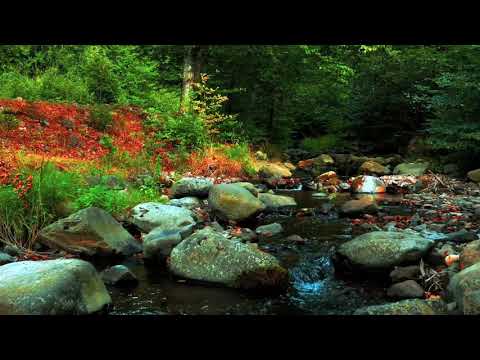 4K Best Scenic Nature Places of Canada in 4k ultra HDR Video