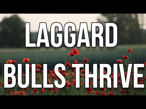 Stock Market Review! (May 26th, 2020)