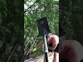 Has anyone seen 3 layers of shingles before?