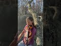 🎻 Lee Highway Blues #Fiddle #Violin