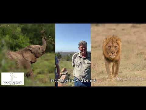 Woodbury Manor - Amakhala Eastern Cape