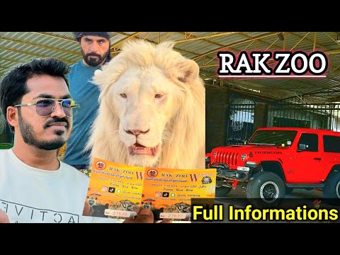 Hidden Gem in UAE: Ras Al Khaimah Zoo Full Tour 🐅🇦🇪.