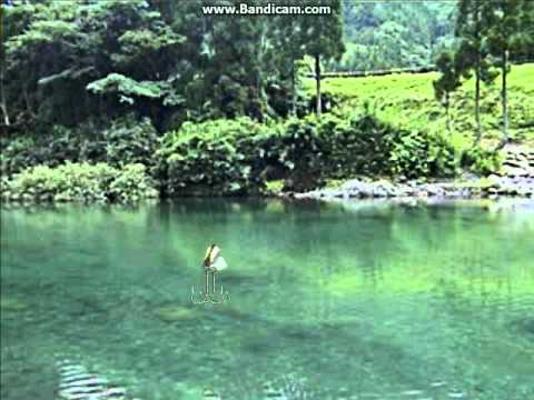Reel Fishing II Playstation