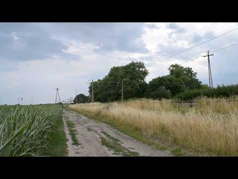 EP09-020 EIC 05640  - OPENER FESTIVAL