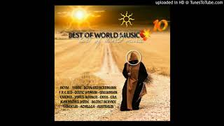 Desert Rain - David Lanz &amp; Paul Speer. (Track 10) BEST OF WORLD MUSIC 10
