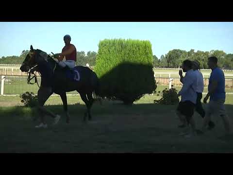 CARRERAS SINT PAYSANDU - 221117 c07 1° MOGA STORM