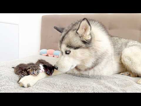 YouTube 썸네일