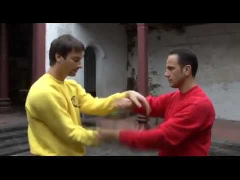 Preview: Sergio Iadarola - Chi Sao Section 4