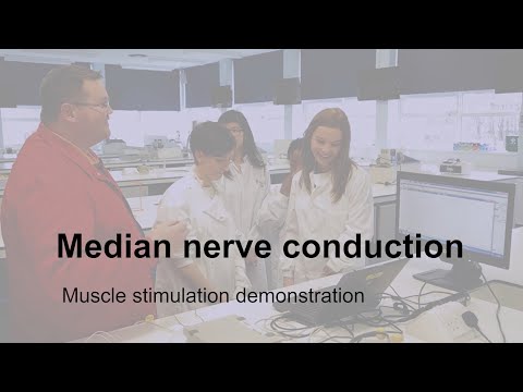 Physiology practical demonstrations - Median nerve conduction
