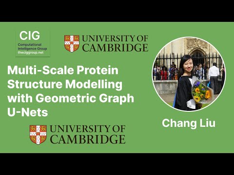 Multi Scale Protein Structure Modelling with Geometric Graph U Nets