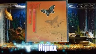 Hijinx = Heart = Dog &amp; Butterfly