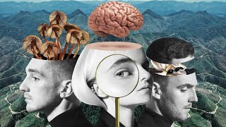 Download lagu Clean Bandit - Tears ft.Louisa Johnson mp3
