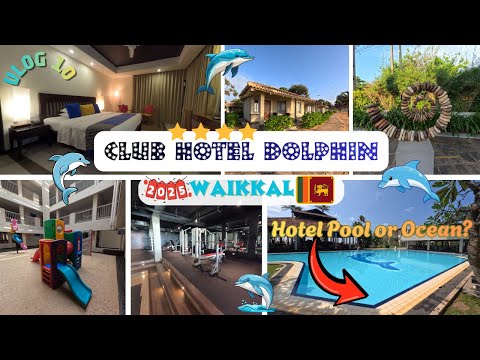 Club Hotel Dolphin, Waikkal,  🇱🇰  Sri Lanka 2025 🐬 🏨 | Full Tour 🛏️ 🏊‍♂️ 🍽️ 🌊  🧸 🎨 🏋️‍♂️