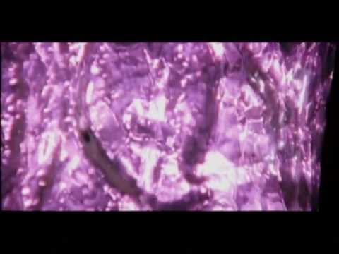 Enya special tribute