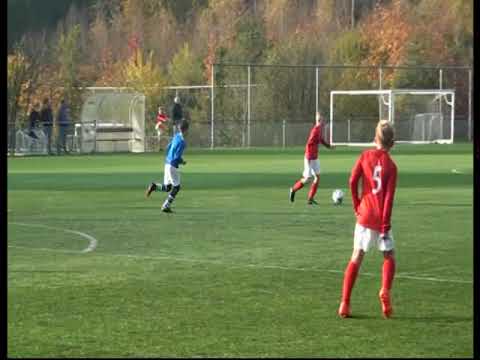Samenvatting ( Kort  ) Excelsior'31  JO 11-1  -   TVC'28  ( Comp 4 11 2017