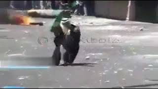 Download lagu PALESTINA KEBAL{AllahuAkbar Orang Palestin ini kebal Senjata} mp3 Download lagu PALESTINA KEBAL{AllahuAkbar Orang Palestin ini kebal Senjata} mp3