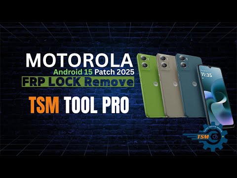 TSM Tool Business Plan (2 года) Превью 4