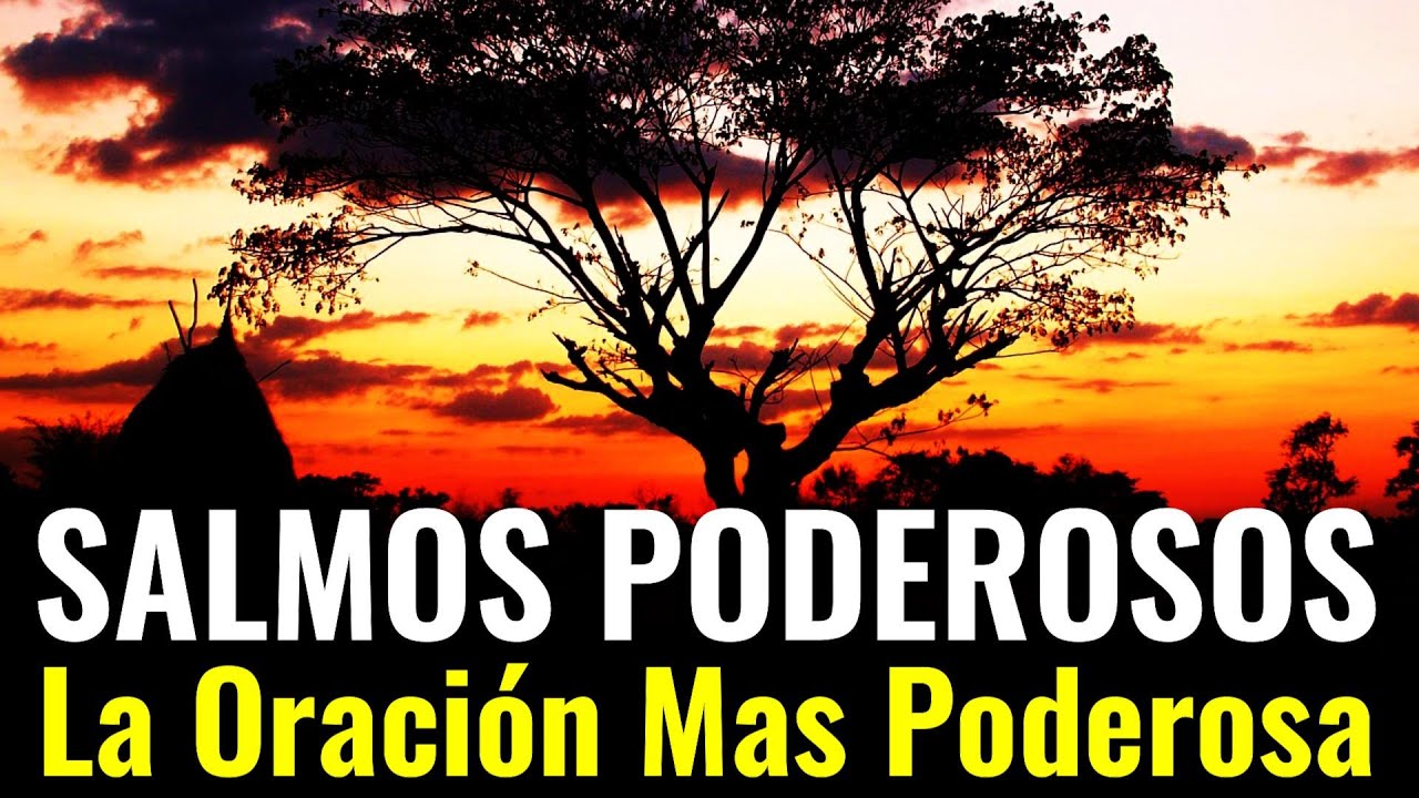 Señor Mío, En Tus Manos Pongo Hoy Mi Vida ¦ Los Salmos Más Poderosos Para Tu Vida ¦ #oración