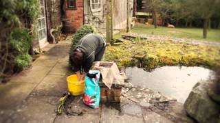 How to plant waterlilies - The English Garden magazine