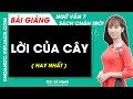 Lời của cây Ngữ văn lớp 7 Chân trời sáng tạo