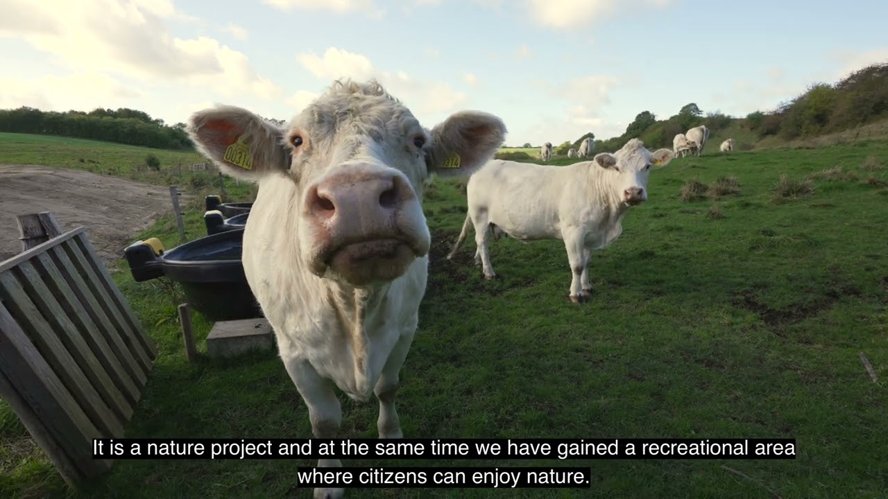 Synergies between climate and biodiversity