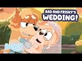 Rad And Frisky S Wedding 30 MINUTES The Sign Moment AND More Bluey Fun Bluey