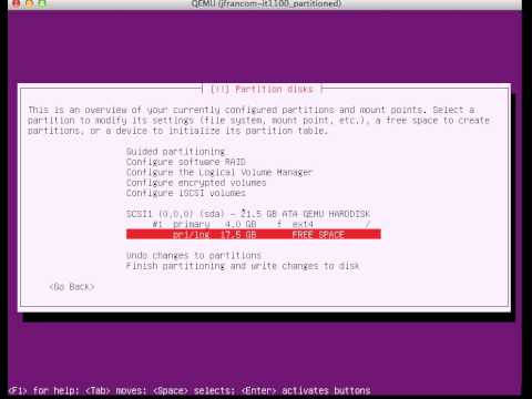 it1100 partition example