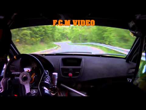 CAMERA CAR RALLY DEL TARO 2011 LOMBARDI - URBAN PEUGEOT SUPE