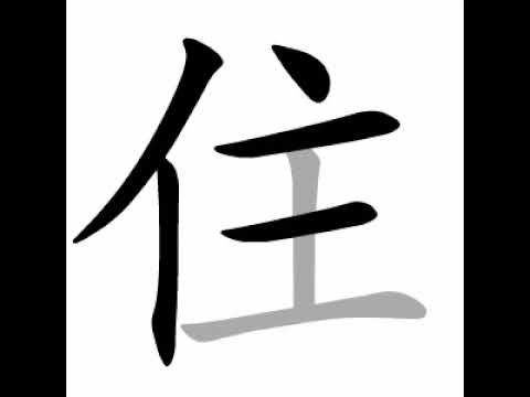 how to write chinese 住丨Chinese stroke order中文汉字笔顺动画