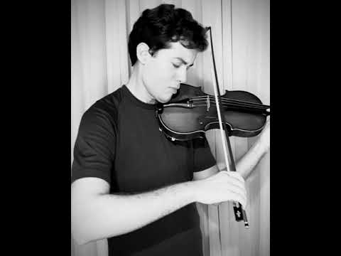 Hino 252 CCB - violino