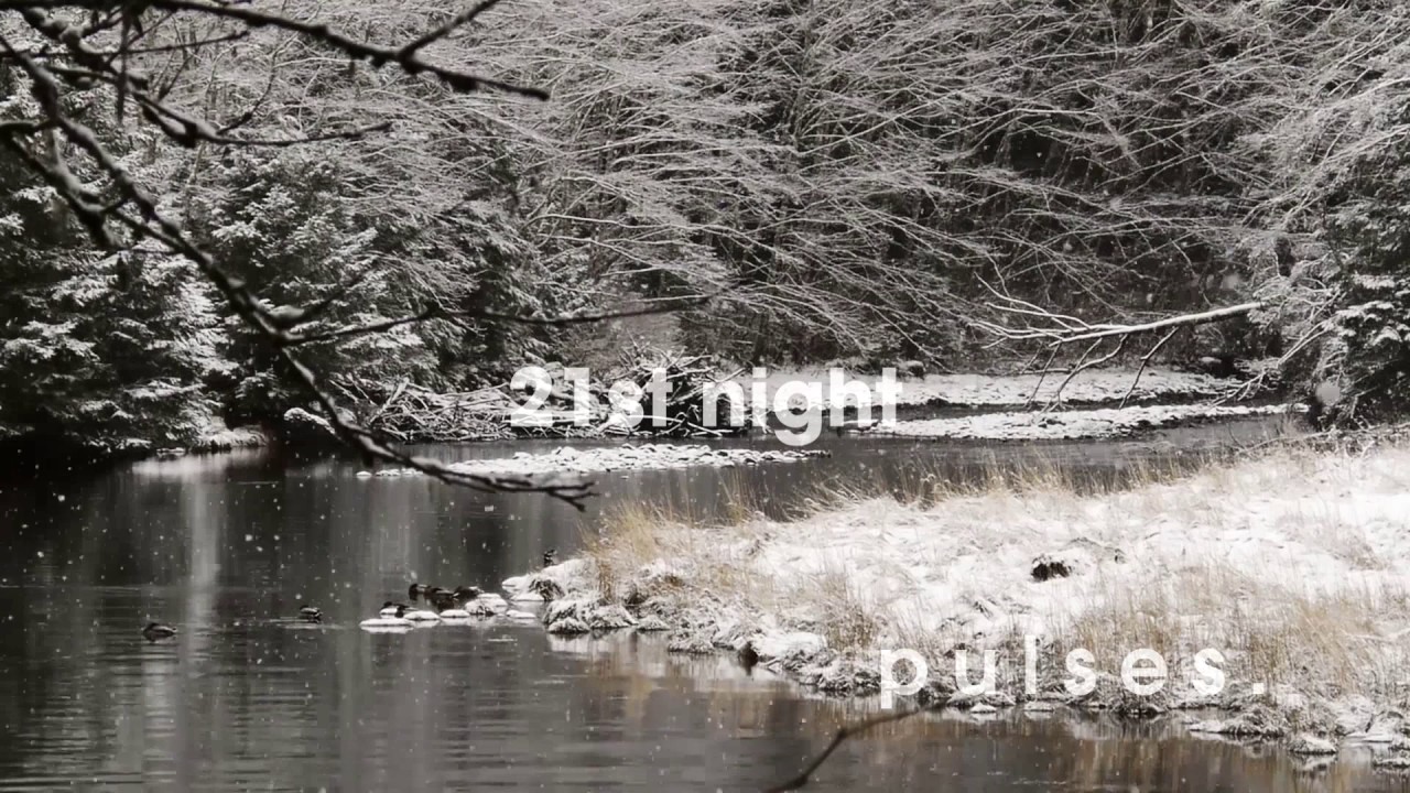 pulses. - 21st Night