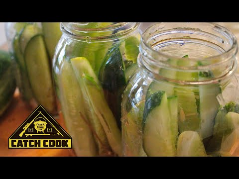 How to preserve organic cucumbers - LOCKDOWN DIARIES - catch cook